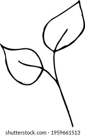 vector branch with leaves black and white. Minimalistic botanical illustration, hand drawing