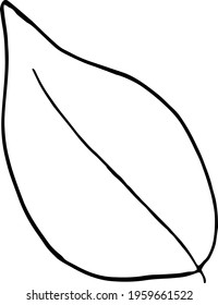 vector branch with leaves black and white. Minimalistic botanical illustration, hand drawing