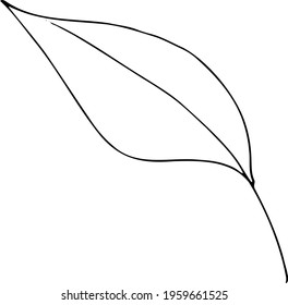 vector branch with leaves black and white. Minimalistic botanical illustration, hand drawing