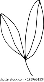 vector branch with leaves black and white. Minimalistic botanical illustration, hand drawing