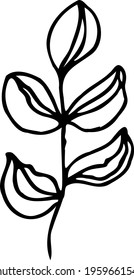 vector branch with leaves black and white. Minimalistic botanical illustration, hand drawing