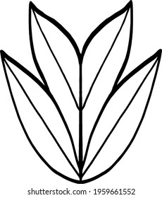 vector branch with leaves black and white. Minimalistic botanical illustration, hand drawing