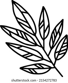 vector branch with leaves black and white. Minimalistic botanical illustration, hand drawing