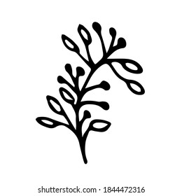 Rama vectorial con hojas. Ilustración de la planta dibujada a mano con doodle.