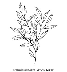 Vector branch with leaves. Elegant illustration for wedding cards, polygraphy, logo, tattoo. Hand drawing monochrome botanical art for backgrounds. Template with graphic branch art.