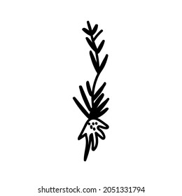 Vector branch with leaves for Halloween with black line on white background doodle style.Holiday,horror,scary illustration for all saints day hand drawn.Designs for invitations,social media,packaging.