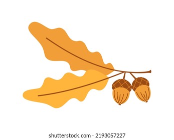 Vektorzweig mit Eichenblättern und Eichenbarren. Herbsteiche Eichenholzzweig mit Eichen. 