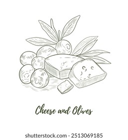 Vector branch olives and cheese line art illustration, graphic line art. Elegant line botanical illustration. Pieces of cheese. Great for any designs, textile, art, walls, package