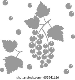 Vector branch with outline Black currant, bunch, berry and leaves isolated on white background. Ornate floral elements in contour style for summer design