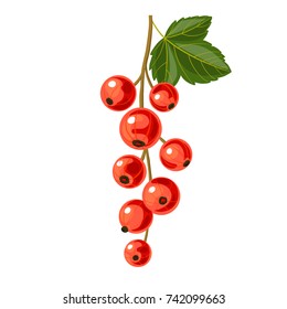 vector branch of red currant with green leaf, berries isolated at white background