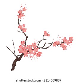 vector branch of sakura on a transparent background