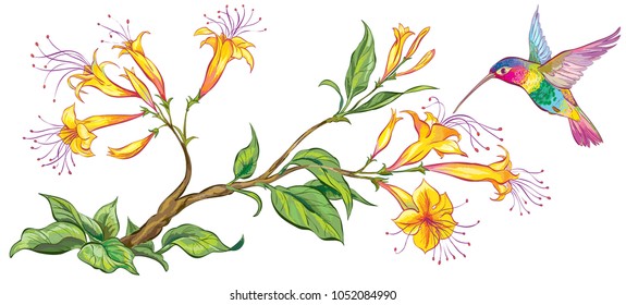 Vector branch with yellow flowers and flying hummingbird