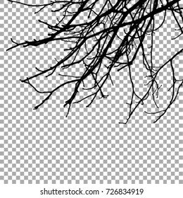 vector branches