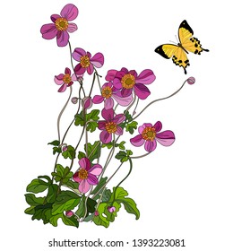 Vector branches andgarden stuff. Hand drawn floral elements. Vintage botanical illustrations. - Vector