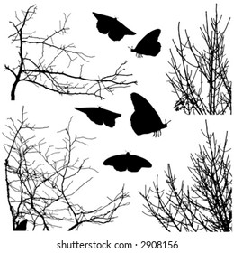 vector branches and butterflies