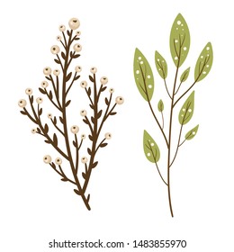 Vector branches with leaves and berries.