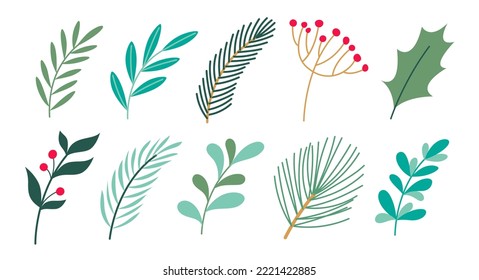 Vector branches and leaves for Christmas decor. Winter floral elements. Flat style botanical illustrations.