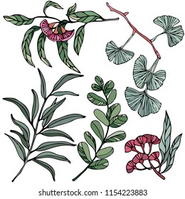 Vector branches and leaves. Hand drawn floral elements isolated on white. Vintage botanical illustrations.