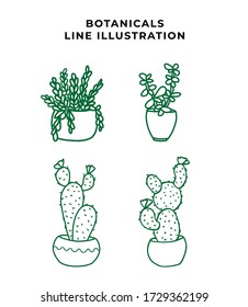 Vector branches and leaves. Hand drawn floral elements. Vintage botanical illustrations.