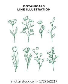 Vector branches and leaves. Hand drawn floral elements. Vintage botanical illustrations.