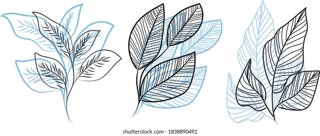 Vector branches and leaves. Hand drawn floral elements. Vintage Botanical illustrations.