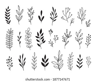 Vector branches and leaves. Hand drawn floral elements. Vintage botanical illustrations. 