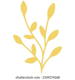 Ramas y hojas vectoriales. elementos florales dibujados a mano