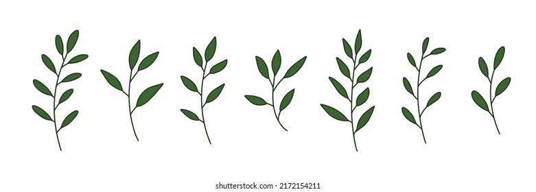 Vector branches and leaves. Hand drawn floral elements. Vintage botanical illustrations.