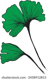 Vector ramas y hojas. Elementos florales dibujados a mano. Ilustraciones botánicas de Antiguas.