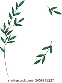Vector branches and leaves. Hand drawn floral elements. Vintage botanical illustrations.