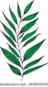 Vector branches and leaves. Hand drawn floral elements. Vintage botanical illustrations.