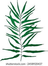 Vector branches and leaves. Hand drawn floral elements. Vintage botanical illustrations.