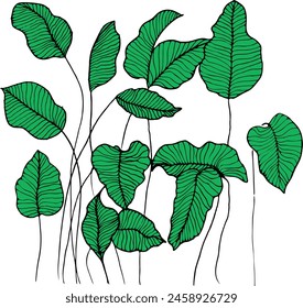 Vector branches and leaves. Hand drawn floral elements. Vintage botanical illustrations.
