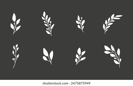 Vector branches and leaves. Hand drawn herb elements. Vintage botanical illustrations.
