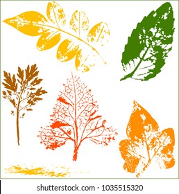 Vector branches and leaves.Hand drawn floral elements. Vintage botanical illustration.Stamp of multi colored leaves on a white background.Elements for eco and bio logos.