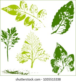 Vector branches and leaves.Hand drawn floral elements. Vintage botanical illustration.Stamp of multi colored leaves on a white background.Elements for eco and bio logos.