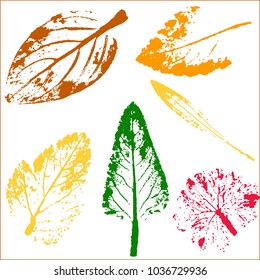 Vector branches and leaves.Hand drawn floral elements. Vintage botanical illustration.Elements for eco and bio logos.