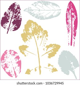 Vector branches and leaves.Hand drawn floral elements. Vintage botanical illustration.Elements for eco and bio logos.