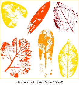 Vector branches and leaves.Hand drawn floral elements. Vintage botanical illustration.Elements for eco and bio logos.