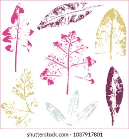 Vector branches and leaves.Hand drawn floral elements. Vintage botanical illustration.Stamp of multi colored leaves on a white background.Elements for eco and bio logos.