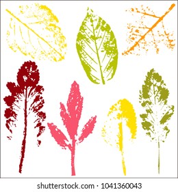 Vector branches and leaves.Hand drawn floral elements. Vintage botanical illustration.