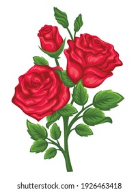 Vector of branches of red roses isolated on a white background. - Vector