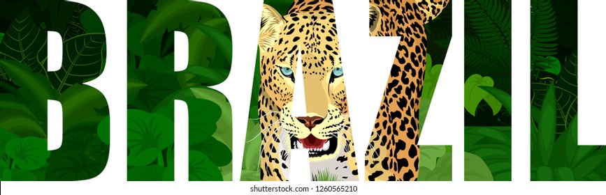 vector Brazil illustration with jaguar