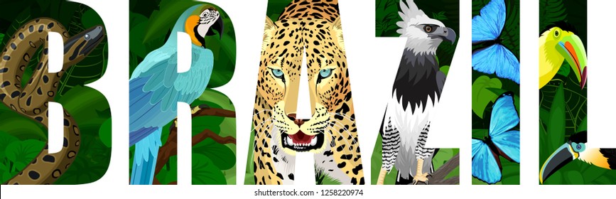 vector Brazil illustration with jaguar, harpy eagle, blue macaw ara, anaconda, blue morpho and toucan