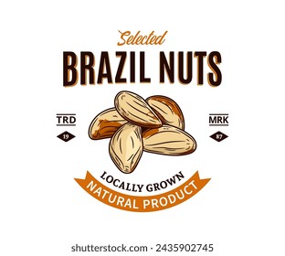 Vector brasilianische Nuss buntes Logo. Nüsse Label Design. Paranuss-Kerne Illustration