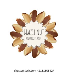 Vector brazil nut label for package. Collection with different nuts labels: hazelnut, walnut, pistachio, peanut, brazil nut, cashew, almond. Organic and natural food. Craft background