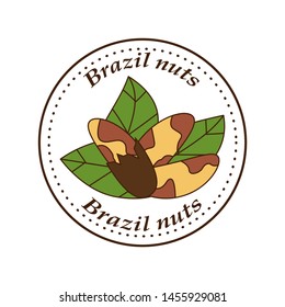 Vector brazil nut logo in cartoon style. illustration for design and web isolated on white background.