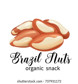 Vector brazil nuts in cartoon style for template label, packing and emblem.