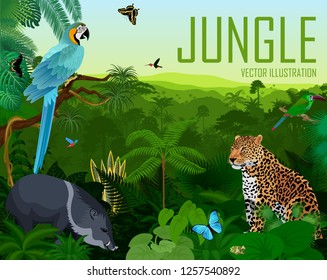 Vector brazil rainforest jungle forest with jaguar, parrot blue macaw ara, pig peccary, hummingbirds and butterflies