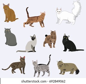 Vector breed cats icons set.